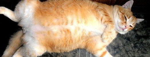 картофельный гарнир на новый лад. Шаг 25