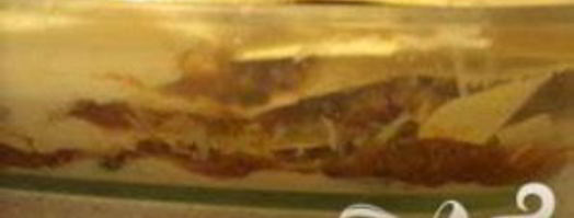 болонская лазанья. Шаг 10