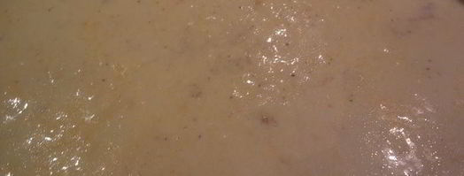 запеченная овощная лазанья с соусом бешамель. Шаг 5