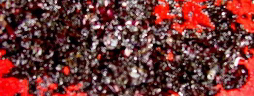 домашняя базиликовая паста с овощами гриль и пармезаном. Шаг 4