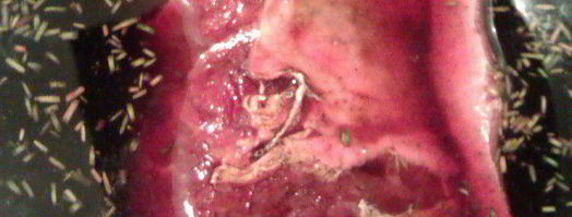 модная говядина по-французски в пряном вине. Шаг 4