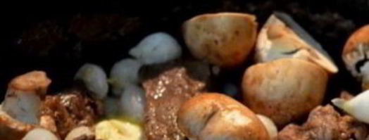 телятина по-французски. Шаг 4