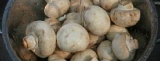 куриная грудка с шампиньонами в сливках. Шаг 5