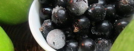 утка с яблоками и смородиновым соусом. Шаг 4