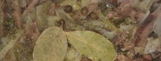 язык, тушенный в сметане. Шаг 5