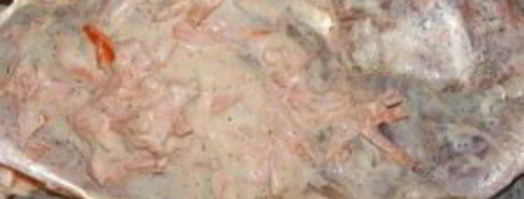 заяц жареный по-берлински. Шаг 4