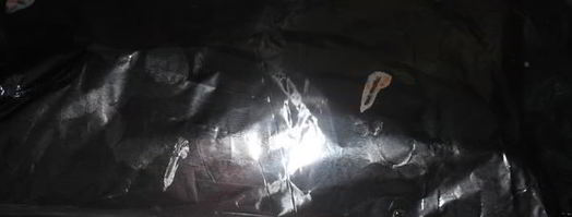 фаршированные перцы, запеченные. Шаг 9