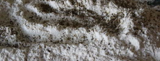 жареные кабачки с сыром и зеленью. Шаг 3