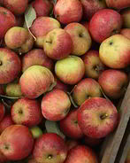 Печень с яблоками