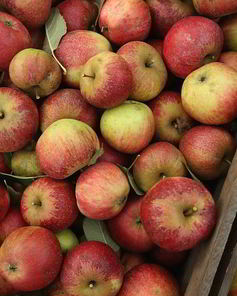 Печень с яблоками