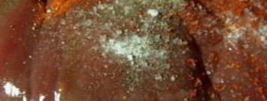 печень в пиве. Шаг 3