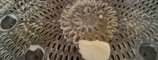 ленивые пельмени. Шаг 10