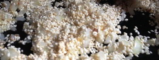 паприка-ризотто. Шаг 3