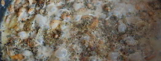 ризотто с морепродуктами. Шаг 5