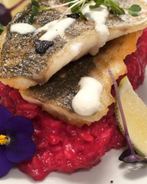 Сибас на свекольном ризотто со сливочно-сырным соусом