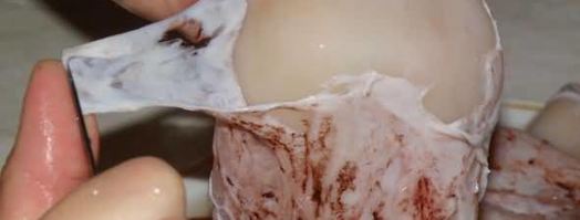 фаршированные рисом и грибами кальмары. Шаг 27