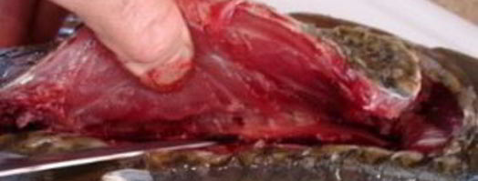 карп с лимоном. Шаг 4