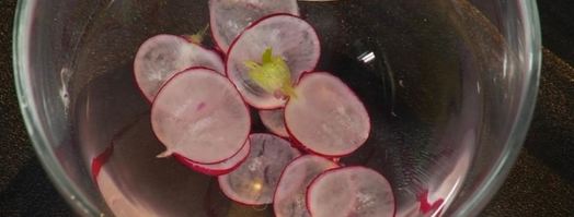 морской гребешок на пюре из цветной капусты. Шаг 4