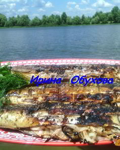 Скумбрия на мангале