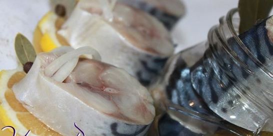 Скумбрия соленая