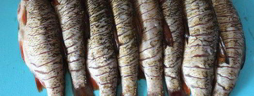 запеченная плотва. Шаг 4