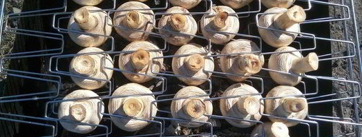 шашлык. Шаг 10