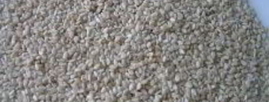 шницель в мятной панировке с кунжутом. Шаг 6