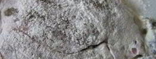 шницель в мятной панировке с кунжутом. Шаг 8