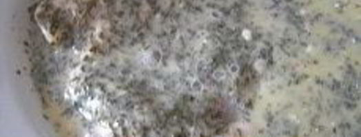 шницель в мятной панировке с кунжутом. Шаг 9