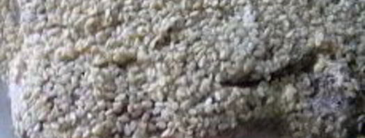 шницель в мятной панировке с кунжутом. Шаг 10