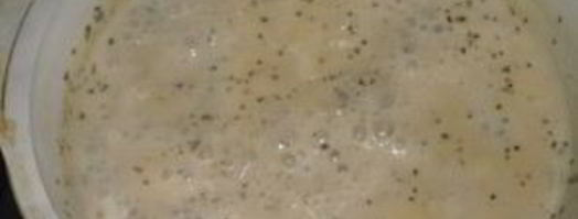 стейк семги под сливочным соусом. Шаг 5