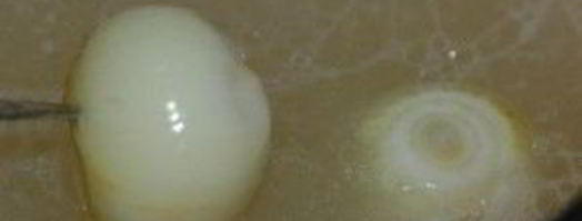 гороховая каша с мясом. Шаг 3