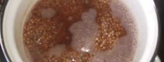 бефстроганов и гречневая каша. Шаг 16