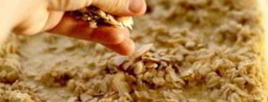 запеченная овсянка с фруктами и орехами. Шаг 4