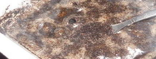 кутья. Шаг 3