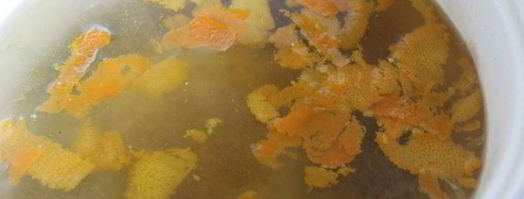 апельсиновый напиток с зеленым чаем. Шаг 4