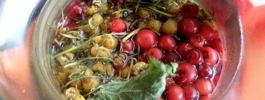 бруснично-ромашковый чай с мятой. Шаг 10