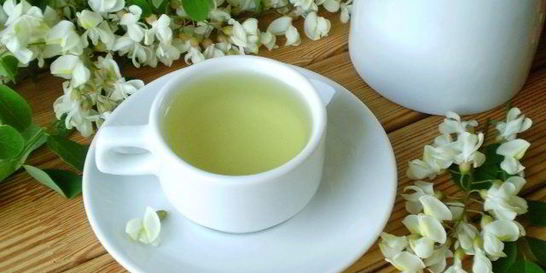 Чай из акации