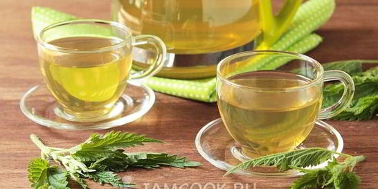 Чай из крапивы