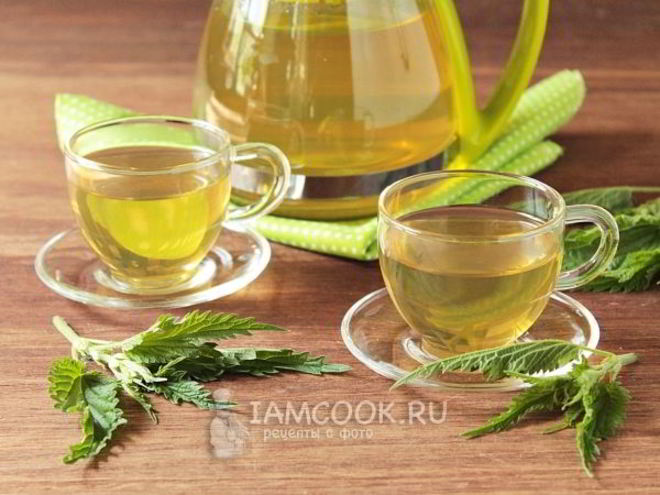 Рецепт чая из крапивы