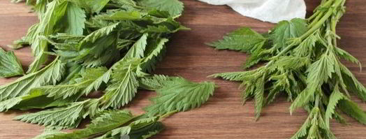 чай из крапивы. Шаг 6