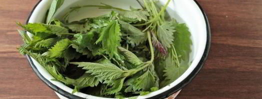 чай из крапивы. Шаг 8