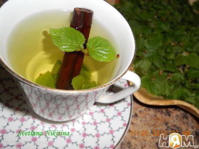 Рецепт чая с березовыми листочками
