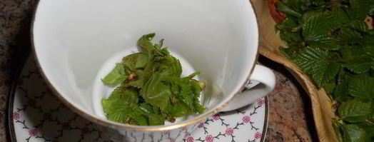 чай с березовыми листочками. Шаг 3