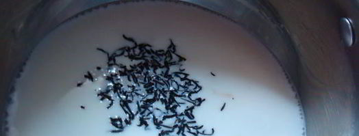 имбирный чай стоп мороз. Шаг 4