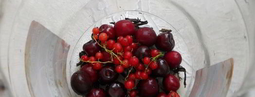 холодный зеленый чай с черешней, красной смородиной, корицей и мятой. Шаг 3