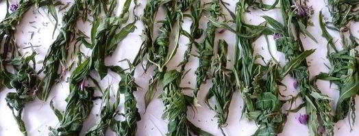 копорский чай с травами. Шаг 6