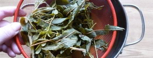 травяной чай таежный. Шаг 8