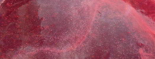 бархатный чернично-сливочный кисель. Шаг 3