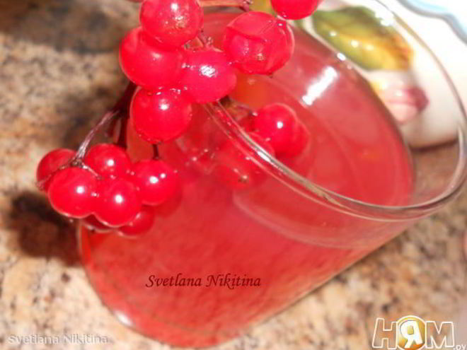 Рецепт киселя из калины